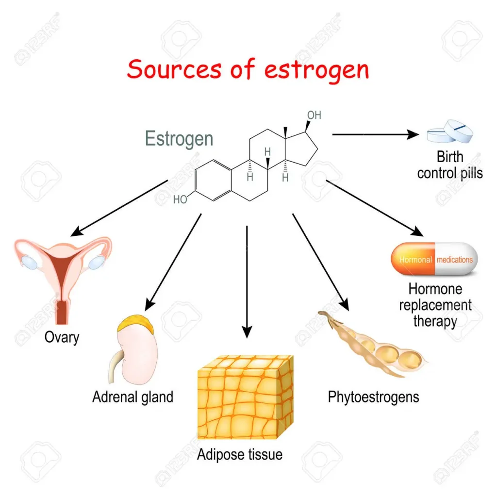 Hormone Replacement Therapy 3